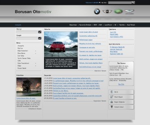 Borusan Otomotiv Portal 
