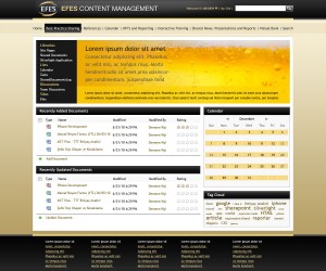 EFES CONTENT MANAGEMENT